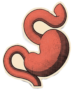 Gastroesophageal system icon